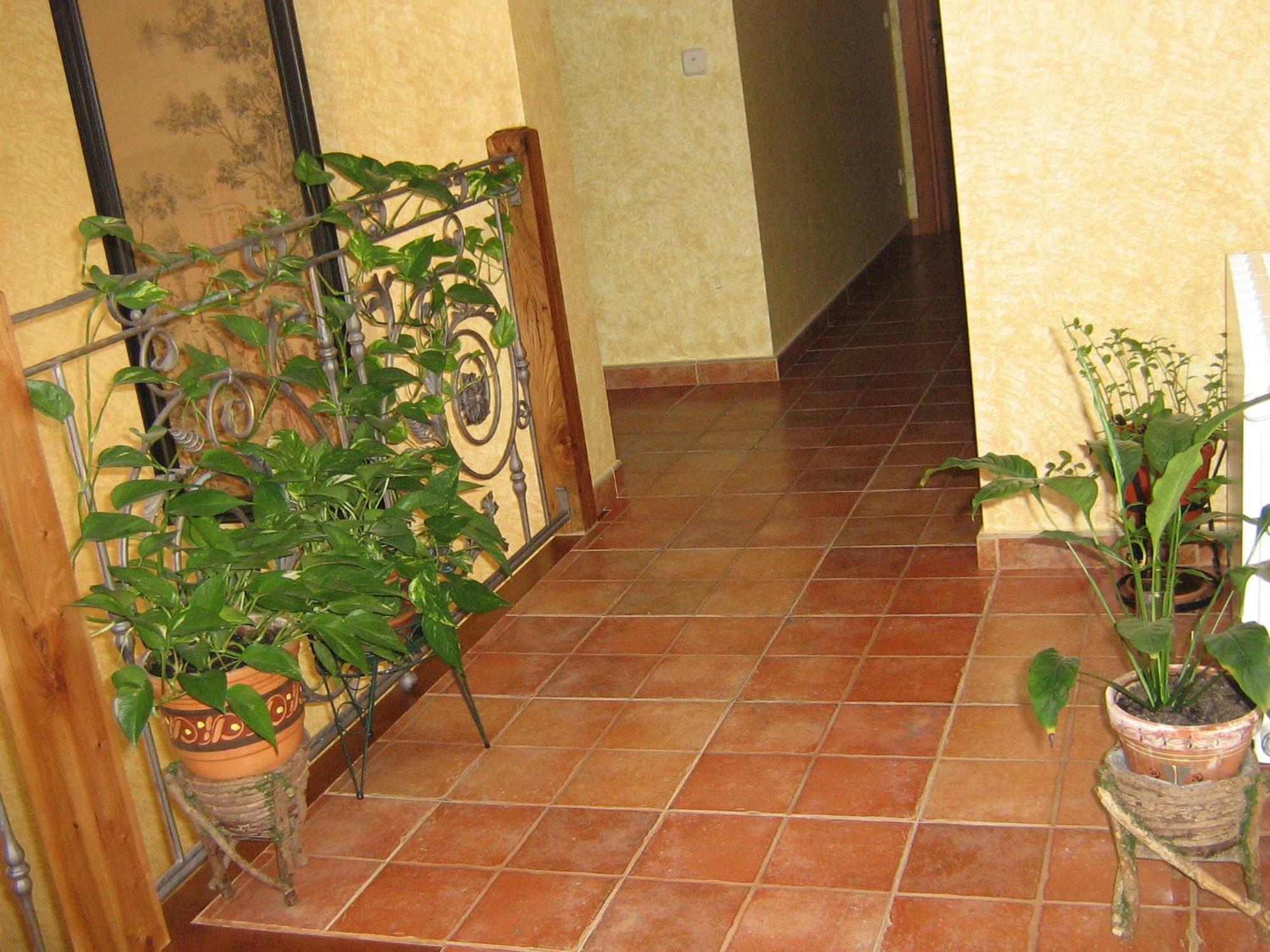 Hotel Rural El Museo Cedillo de la Torre Kültér fotó